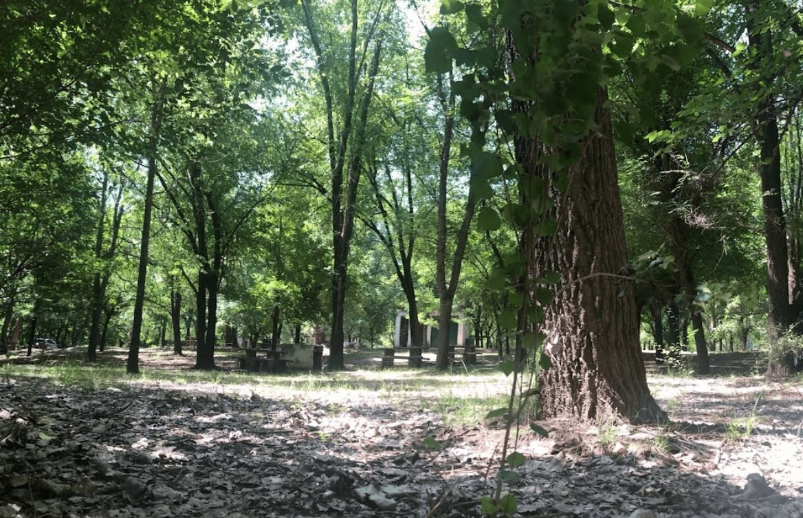 camping paz y bien los mejores campings