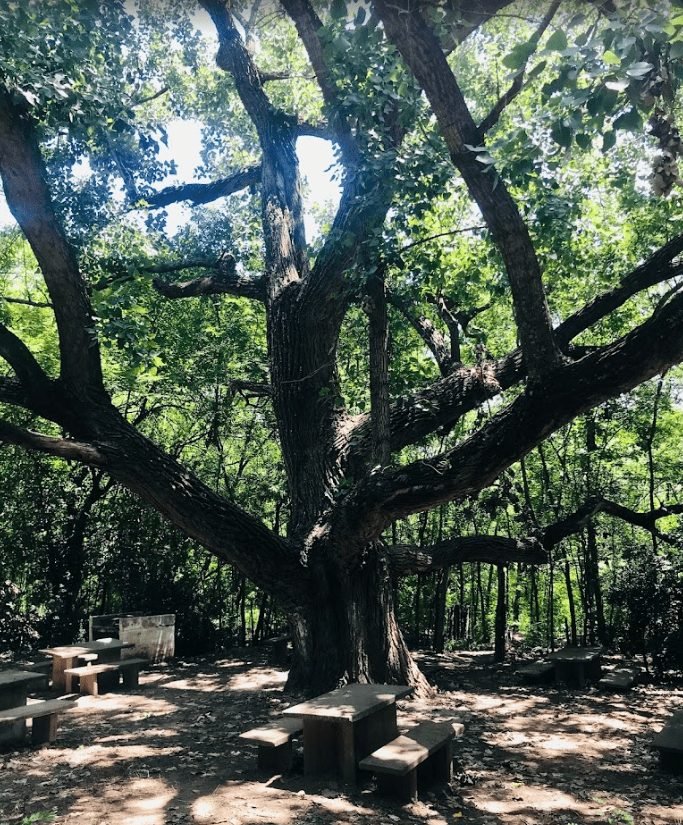 camping paz y bien villa carlos paz