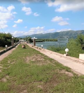 puente las mojarras ruta 38 puente peatonal