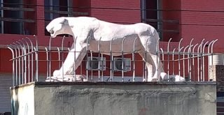 El Burrito en Villa Carlos Paz