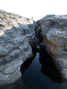 Trompa Del Elefante.