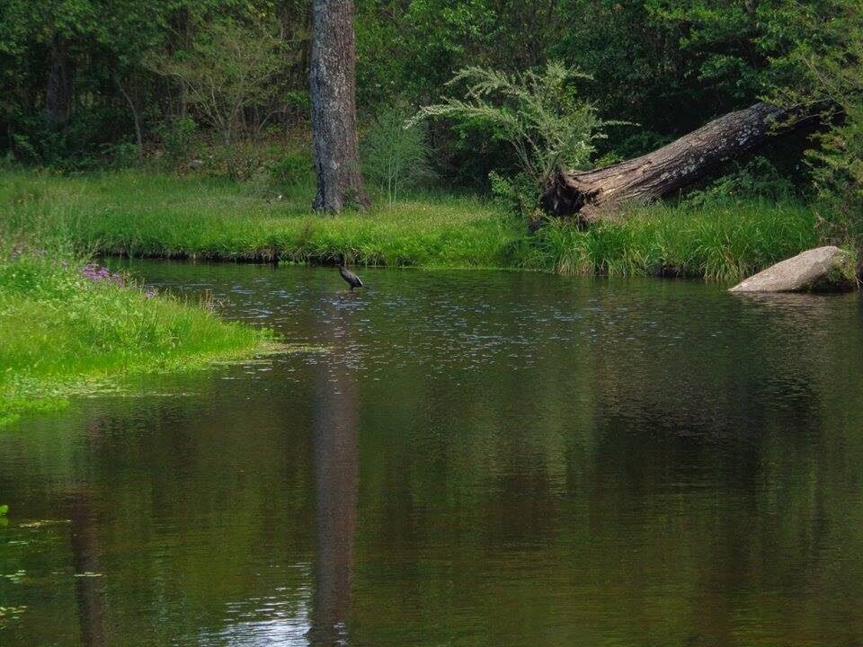 Cueva De Los Pajaritos.